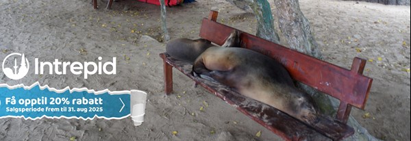 Intrepid World Sale 2025