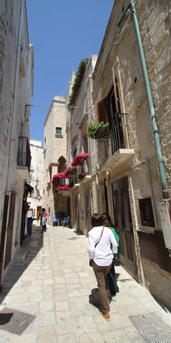 Local Living | Lev lokalt